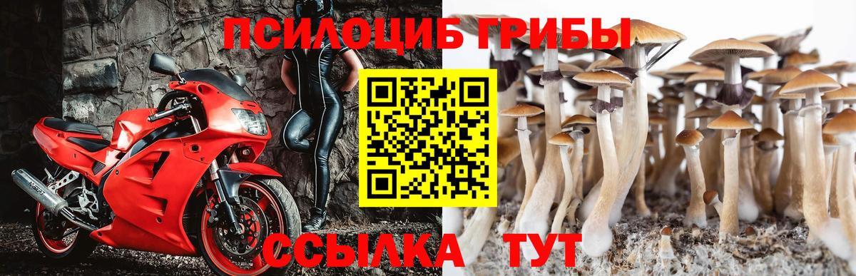 Сосновый Бор  Псилоцибиновые грибы Psilocybine cubensis  Псилоцибиновые грибы GOLDEN TEACHER  Вход с VPN 